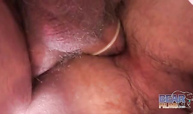 Parent Hunk bonks A youthful Teddy