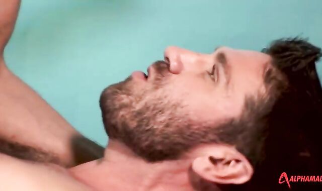 Craig Daniels hammers The Camera fellow