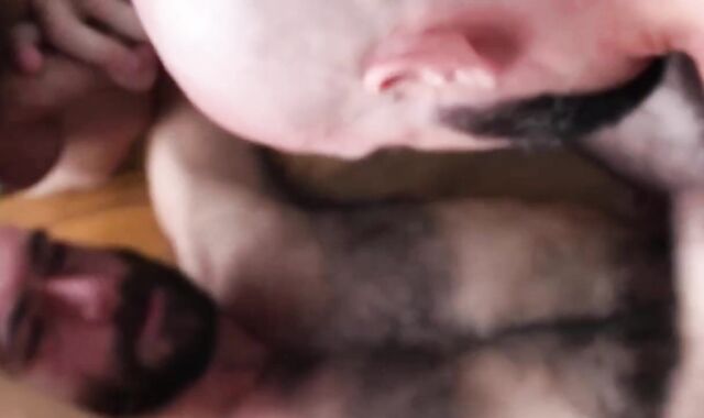 Damon Andros, Stephen Harte And West