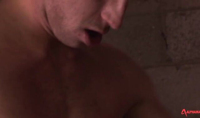 Dolan Teddy And Kayden Gray (WM P1)