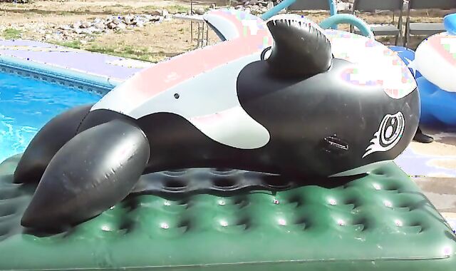 This Inflatable Whale Is One Of My favorite fake-cockes, Particularly When It acquires All Supah-torrid And Sensitive In The Summer Fever