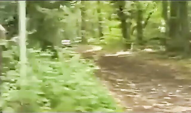 Chubbies 4-way At Forest