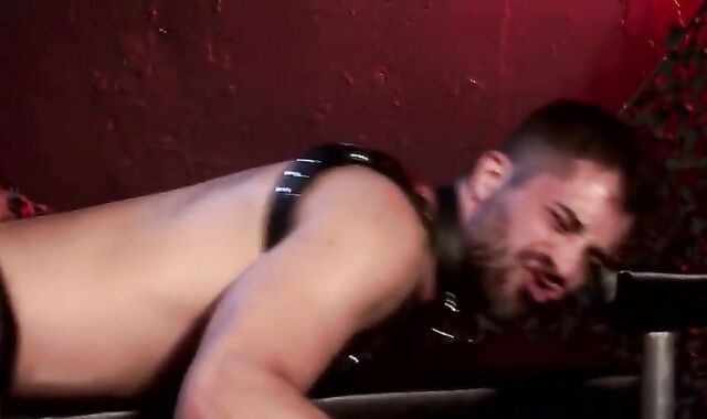 Brandon Gives And Takes