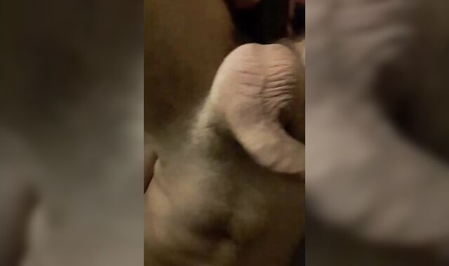 Serbian Boy plays with his black dildo! 2