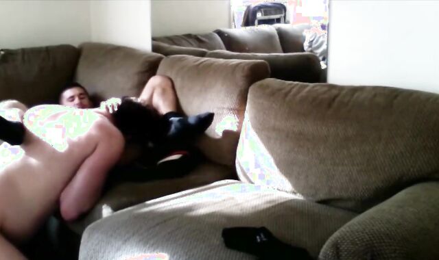 Very slim wolf indeed luvs good tear up