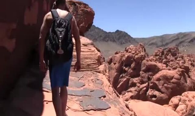 specie Takes Devon S Stream