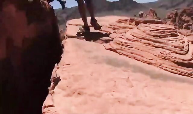 specie Takes Devon S Stream