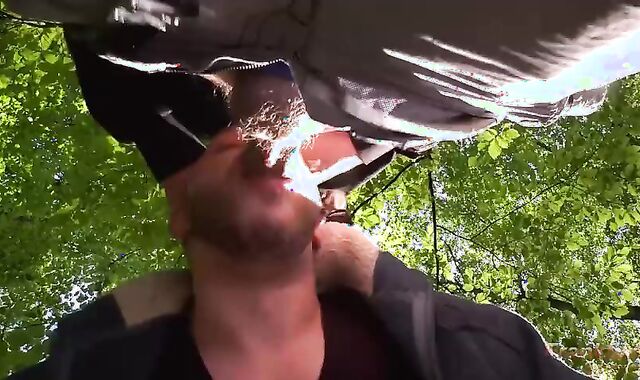 Cruising In The Middle Of The Woods