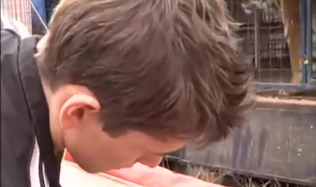 BB teenagers & boyz / TRASGU XII