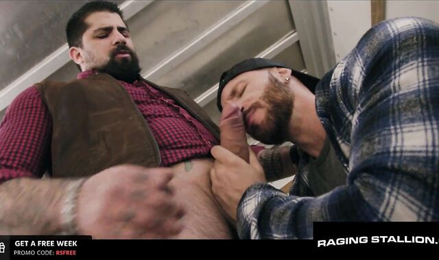 Muscular Employer Wet Dogs Trucker