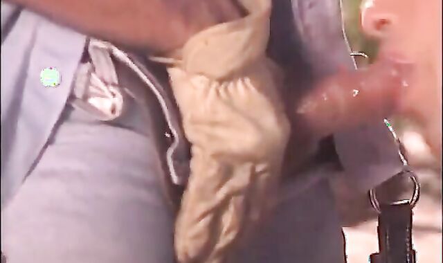 Farm Dad And His fellow