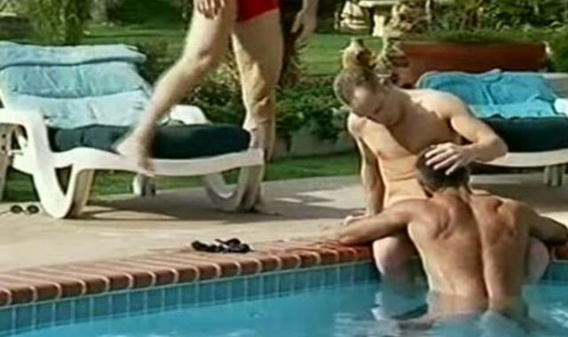 jummy Desert Knights - raw Friends