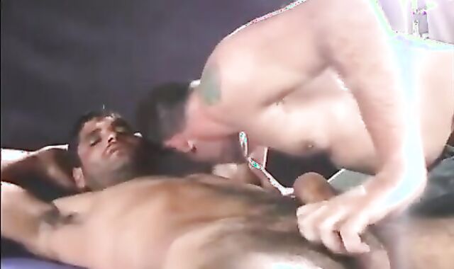 those two bushy boyz Are plowing In sofa