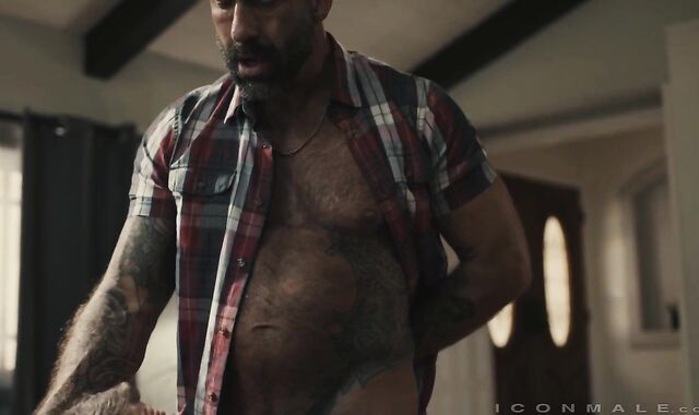 Icon Male: Bear feels up to slamming rock-hard