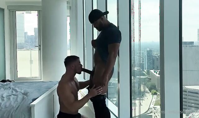 poke Me Rigid Pleasee. sugary-sweet queer Sex