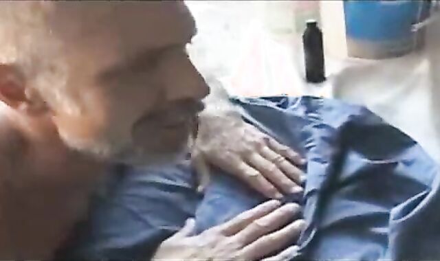 three Construction Dads