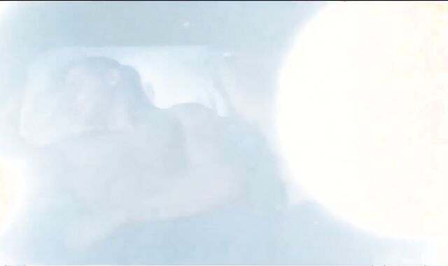 Muscle bone paramours