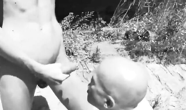 PARENT WALTER'S spunk FILES:below THE BRIDGE