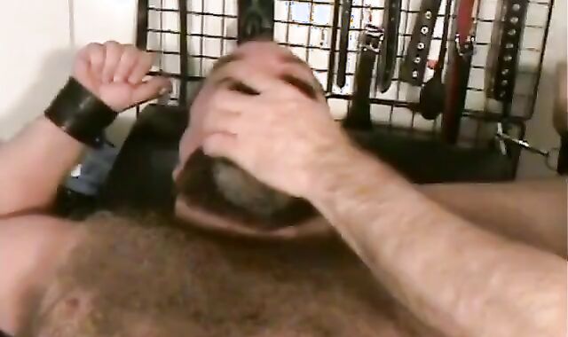 #GAGBEAR - Gag On This