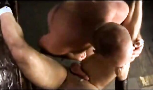 two dirty parent Cubs