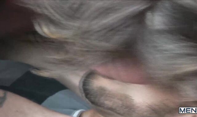 Just Like father - Colton Grey & Jordan Easton culo-crevice Love