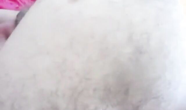 When Silver Daddies Collide.