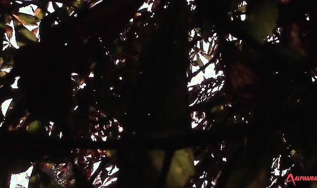 Workmen The Gardeners (kayden Gray, Dolan Teddy) HD