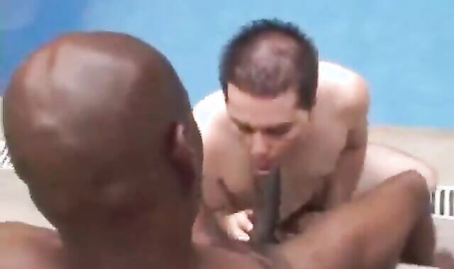 dark Dad Back In Business queer porn homosexuals homosexual money-shots gulp lad bear