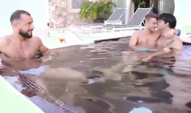 Bears three way. marvelous faggot Plow-festival