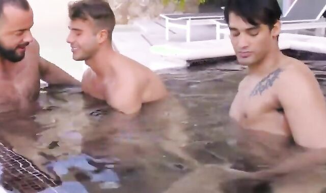 Bears three way. marvelous faggot Plow-festival