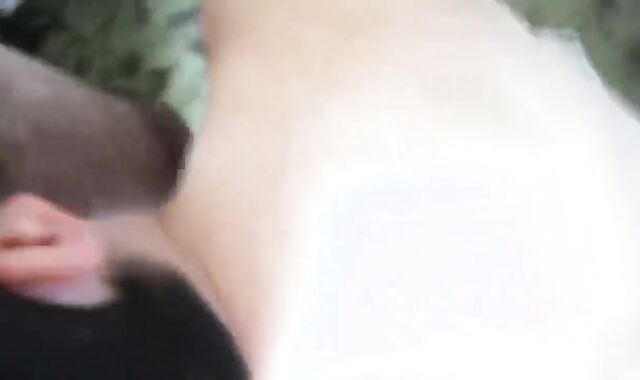 wooly Father Uses lad