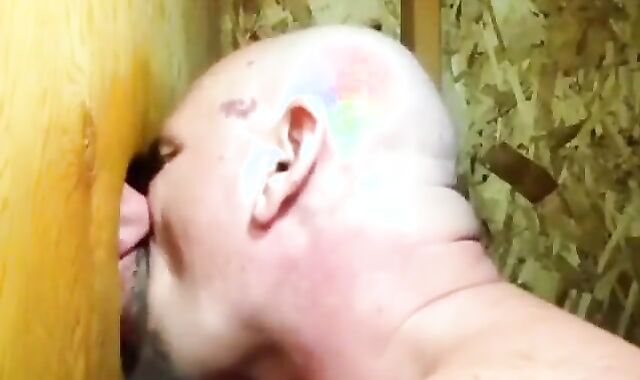 GuysKissingBearSuck