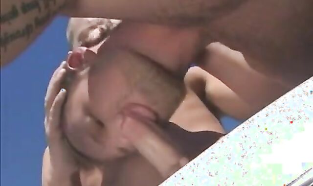 three fag Pornographic stars have a elation ravaging jointly