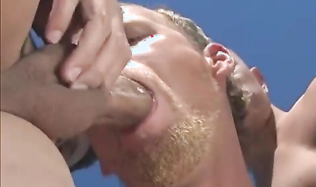 three fag Pornographic stars have a elation ravaging jointly