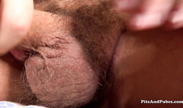 PitsAndPubes - Mr Stocky jack off sequence