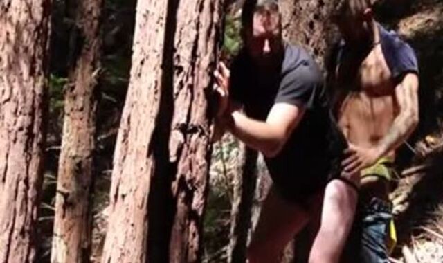 BB poking In The Woods