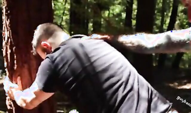 BB poking In The Woods