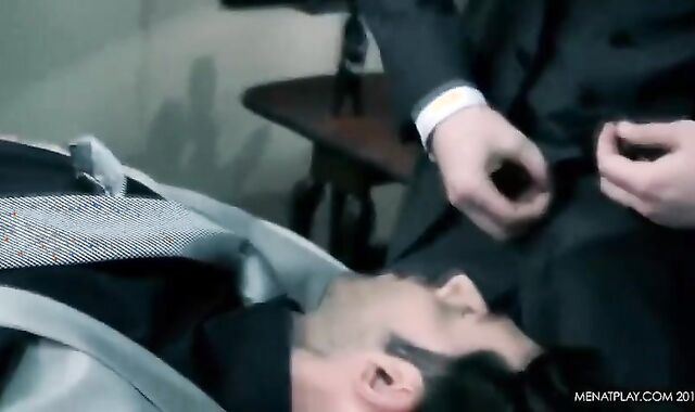 Diary Of A Fox Wednesday