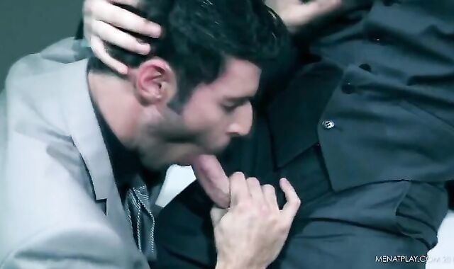 Diary Of A Fox Wednesday