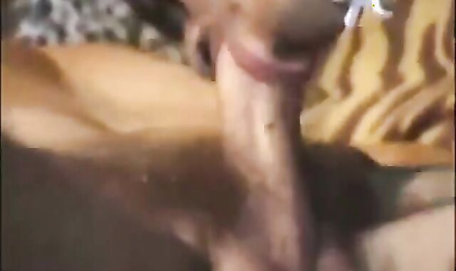 Urban latins having faggot fucky-fucky