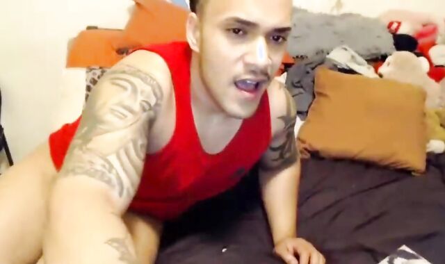 huge Boxer Plays In His wazoo..