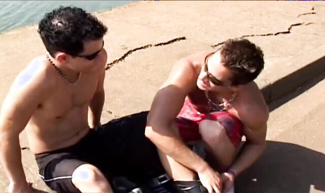 Latin Wolves delicious chocolate-colored-eye Inserting