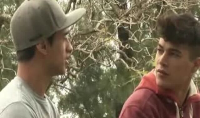 Lohan The Hunk receives A Kick On fetching Fox