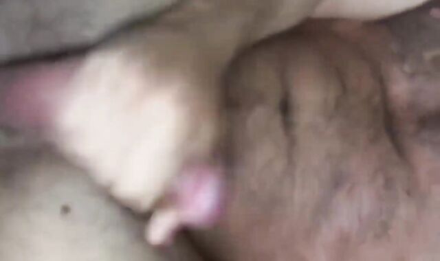 Latino Teddy Barebacks White Cub