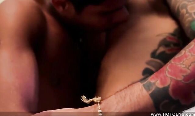 Bruno Matarazzo & Mauricio Callegiaria