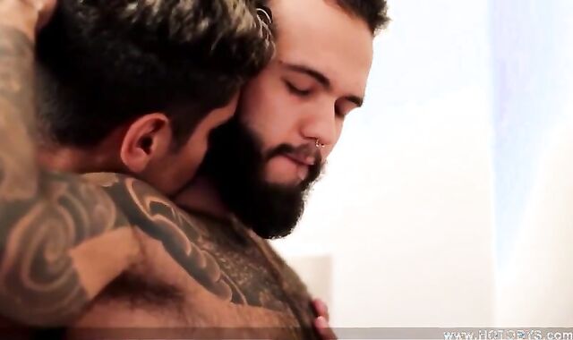 Bruno Matarazzo & Mauricio Callegiaria