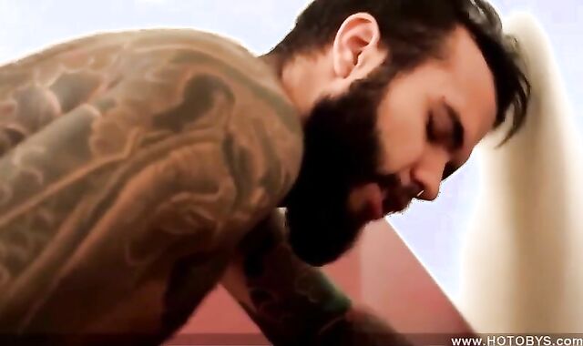 Bruno Matarazzo & Mauricio Callegiaria