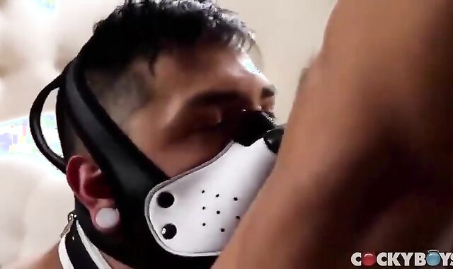 gay Sex : Mateo Vice & Puppy Mask (unprotected)