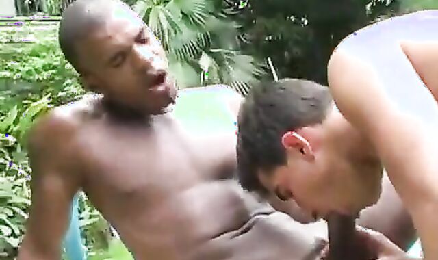 Mexican legal age teenagers And Cubs At The Pool two