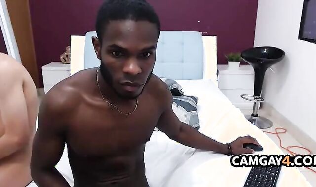 Bi-racial queer couple shagging